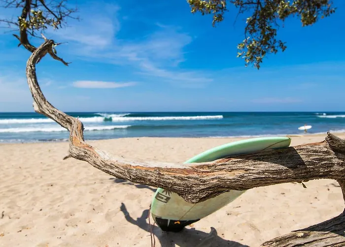 Lodge Los Nancites Playa Negra